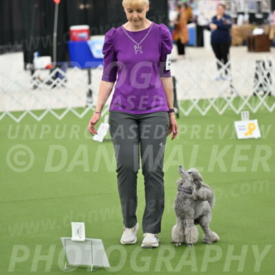 Ring-4-Morning-Rally_0866