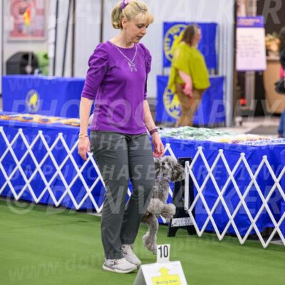 Ring-4-Morning-Rally_0870-Enhanced-NR