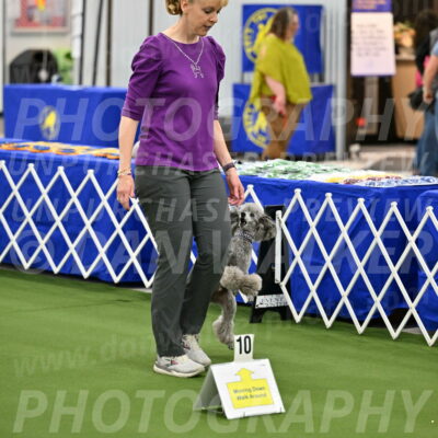 Ring-4-Morning-Rally_0870