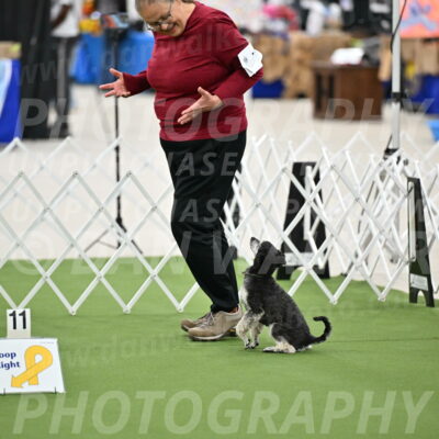 Ring-4-Morning-Rally_0879