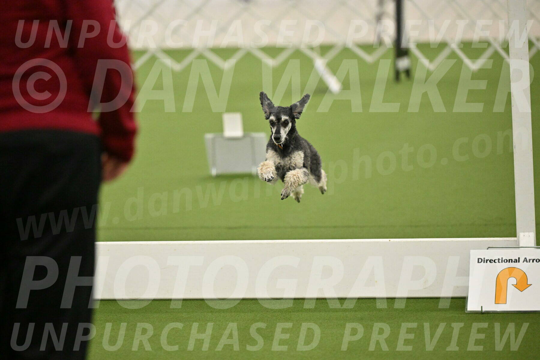 Ring-4-Morning-Rally_0881