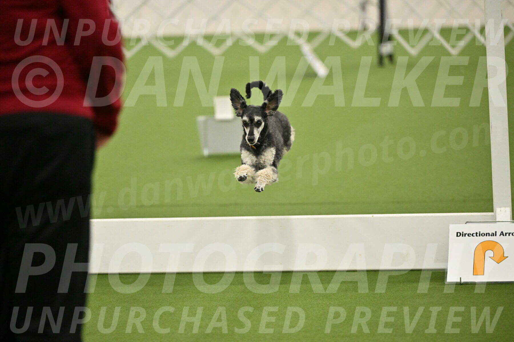 Ring-4-Morning-Rally_0882