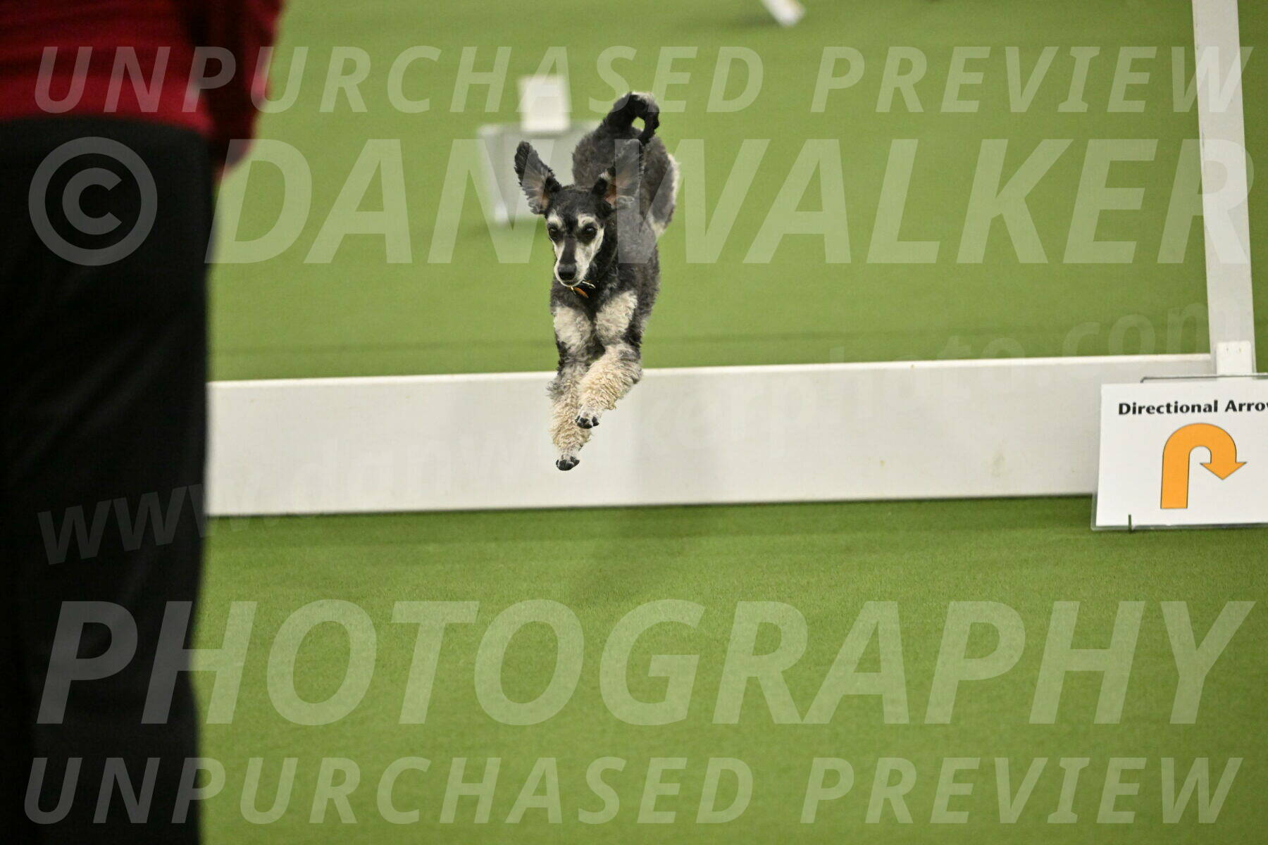 Ring-4-Morning-Rally_0883