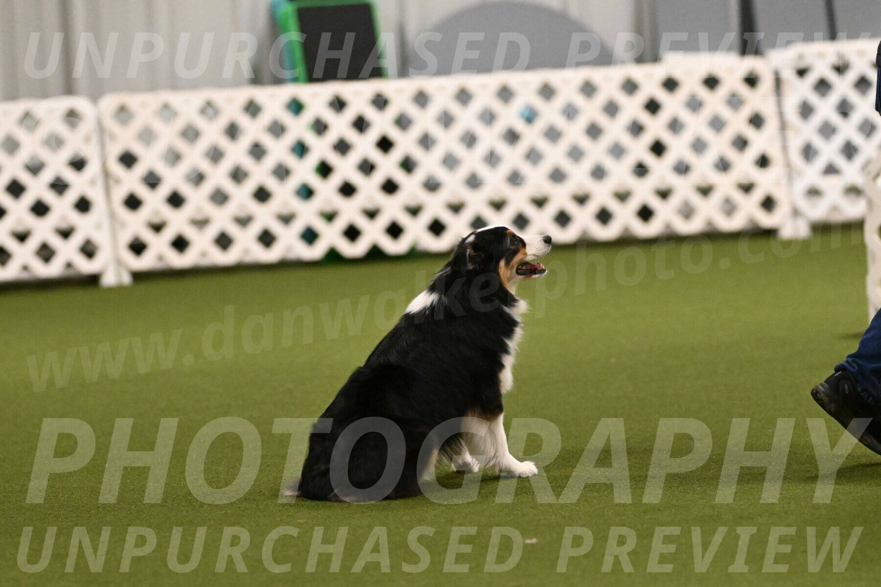 Amazing-Grace-Claudia-Brydon-01796