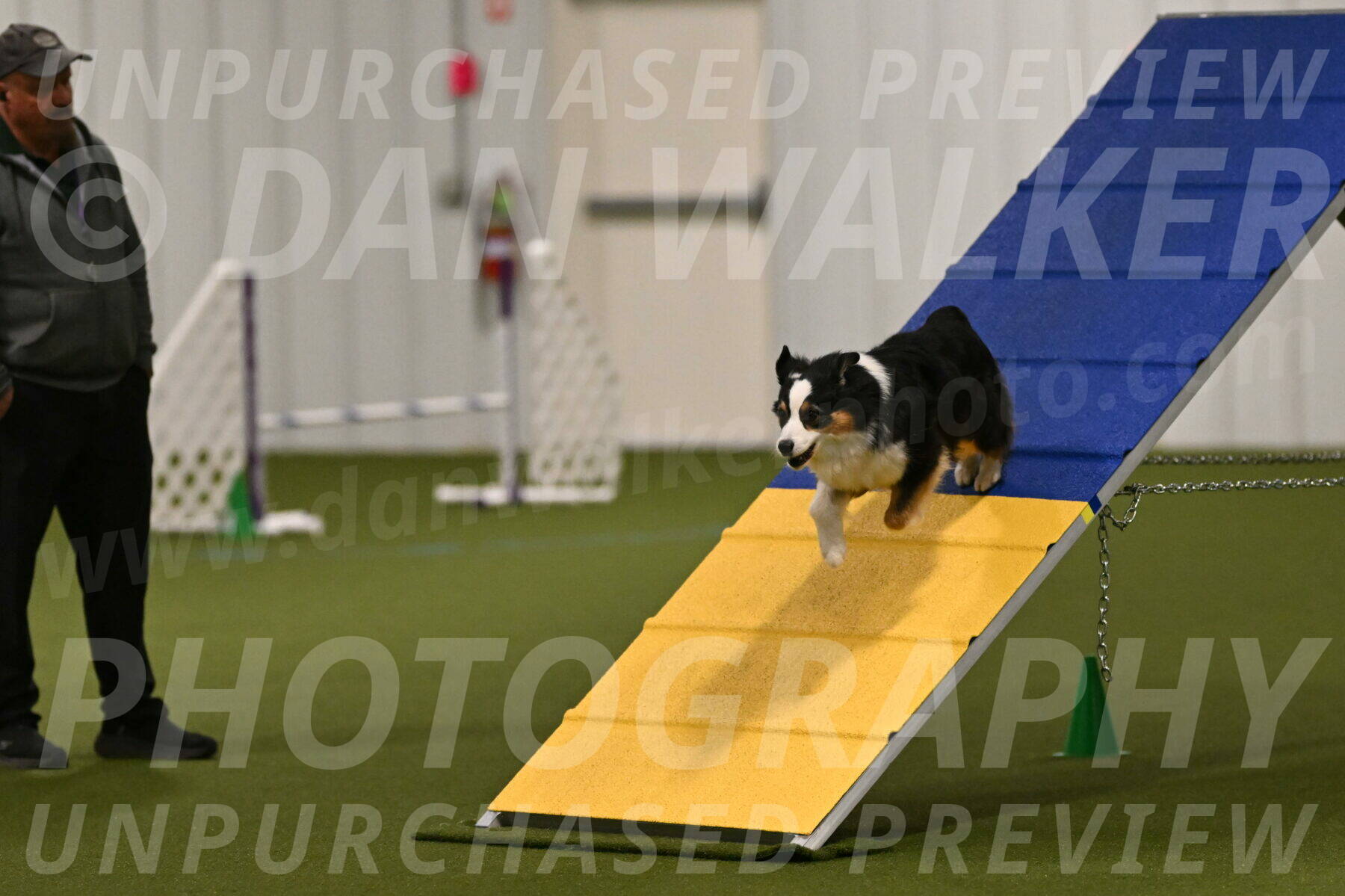 Amazing-Grace-Claudia-Brydon-01797