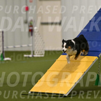 Amazing-Grace-Claudia-Brydon-01797