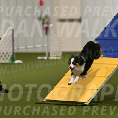 Amazing-Grace-Claudia-Brydon-01798