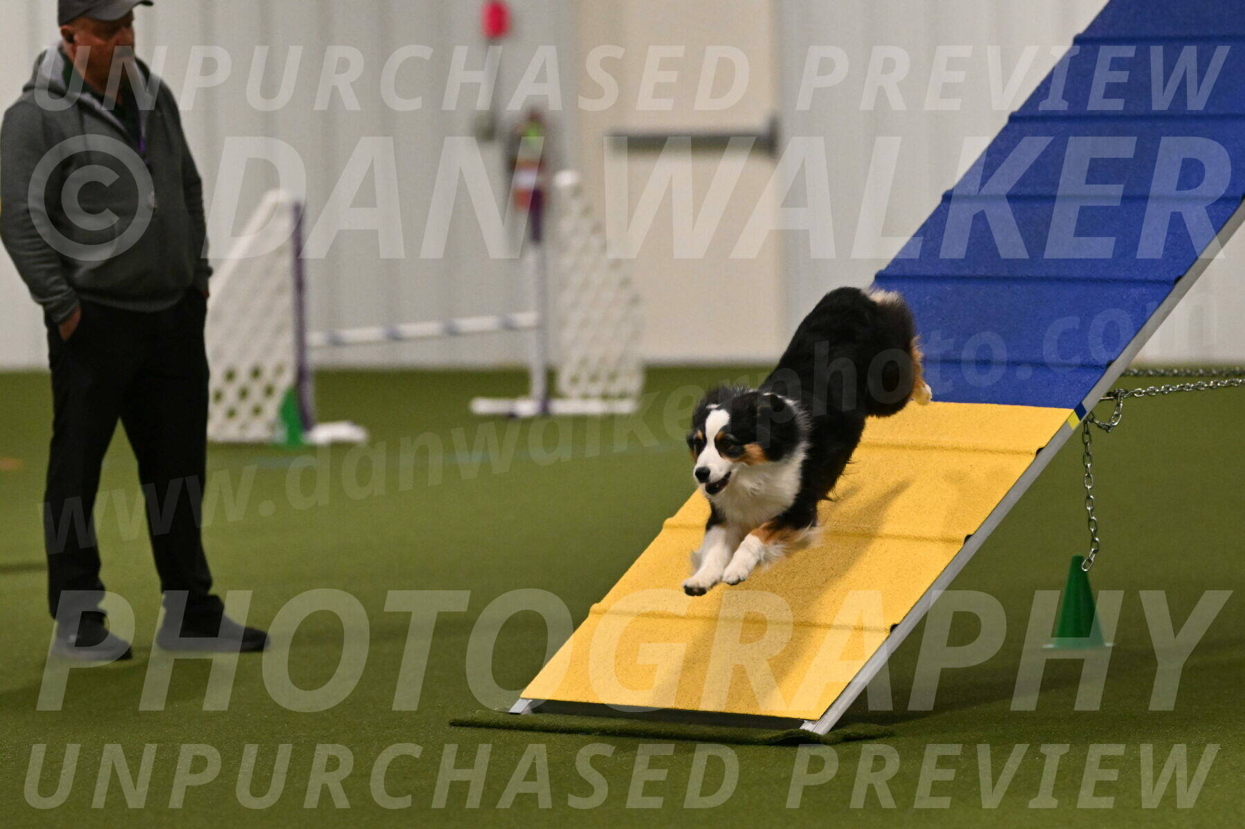 Amazing-Grace-Claudia-Brydon-01798