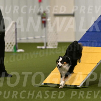 Amazing-Grace-Claudia-Brydon-01799