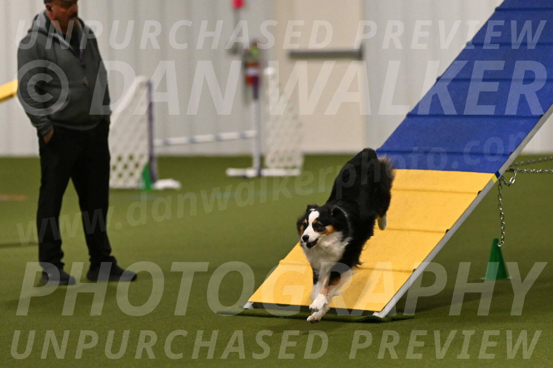 Amazing-Grace-Claudia-Brydon-01799