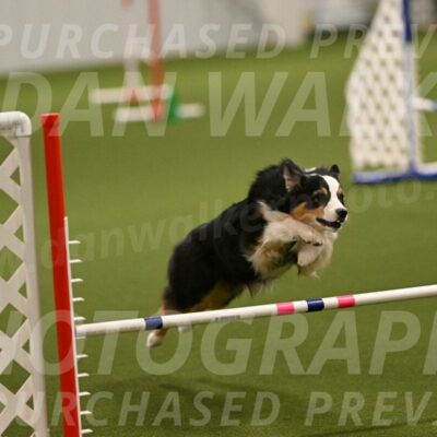 Amazing-Grace-Claudia-Brydon-01800