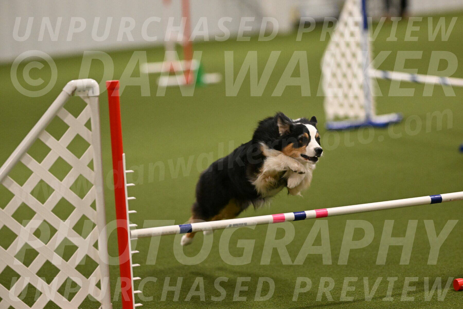 Amazing-Grace-Claudia-Brydon-01800