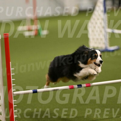 Amazing-Grace-Claudia-Brydon-01801