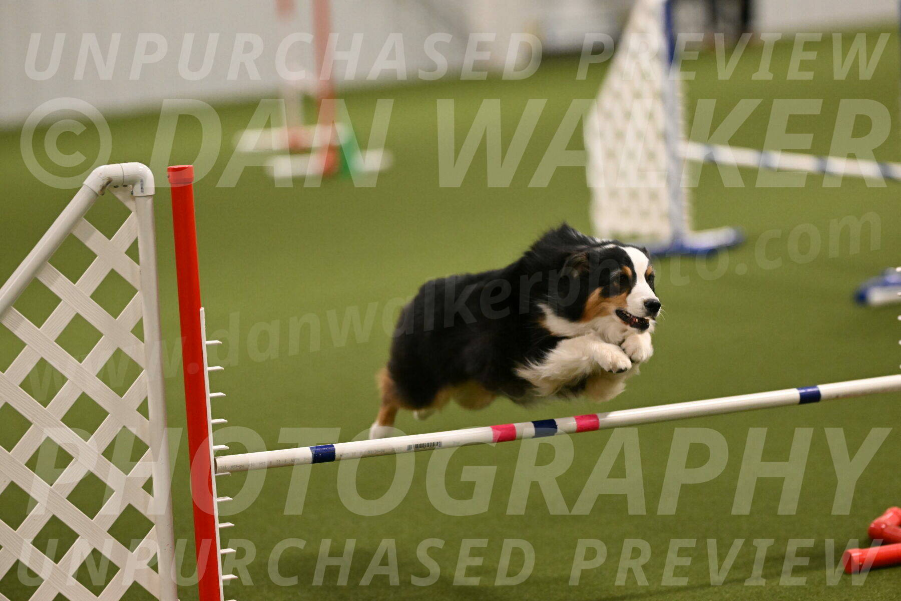 Amazing-Grace-Claudia-Brydon-01801