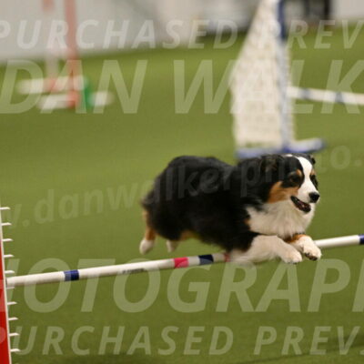 Amazing-Grace-Claudia-Brydon-01802