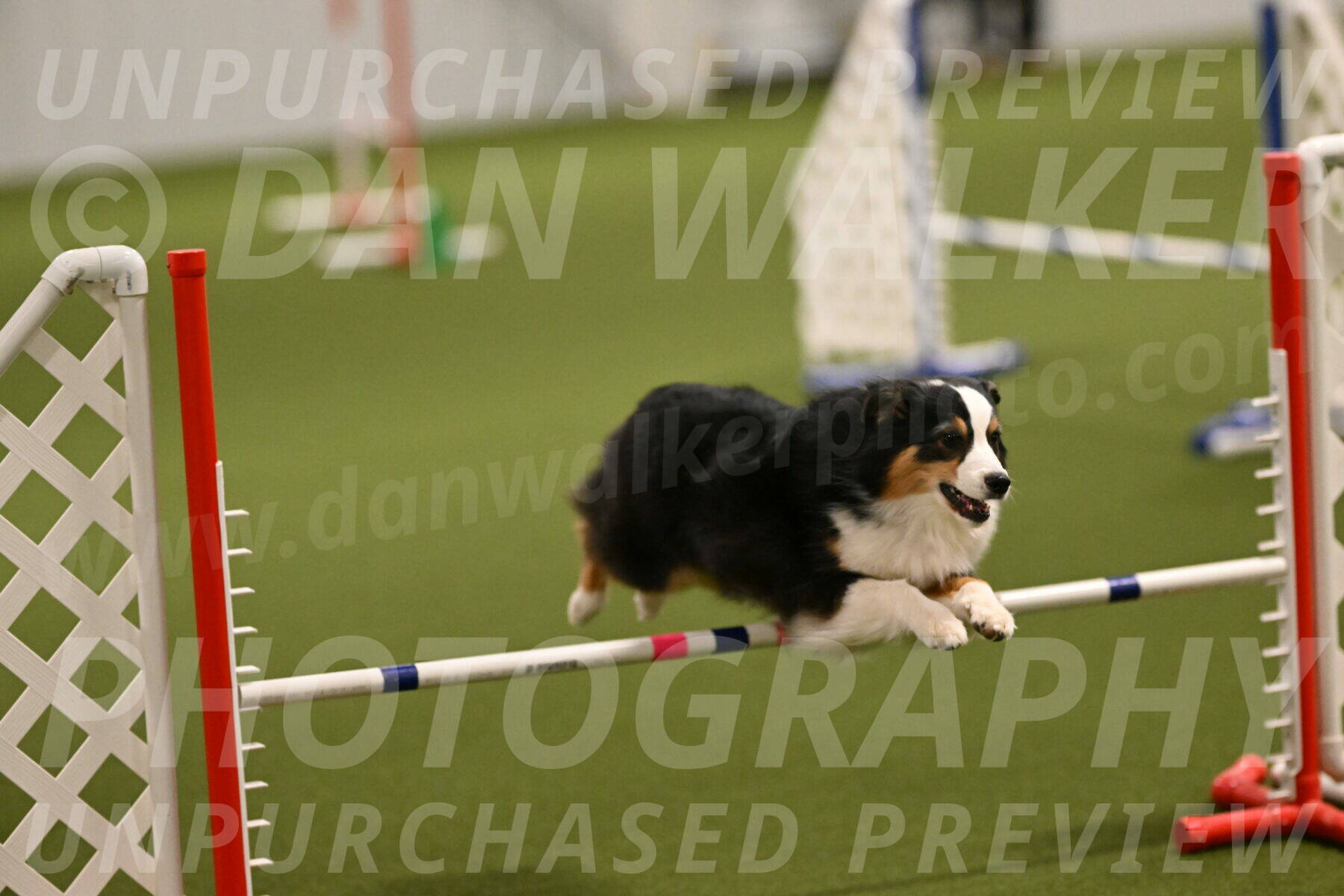 Amazing-Grace-Claudia-Brydon-01802