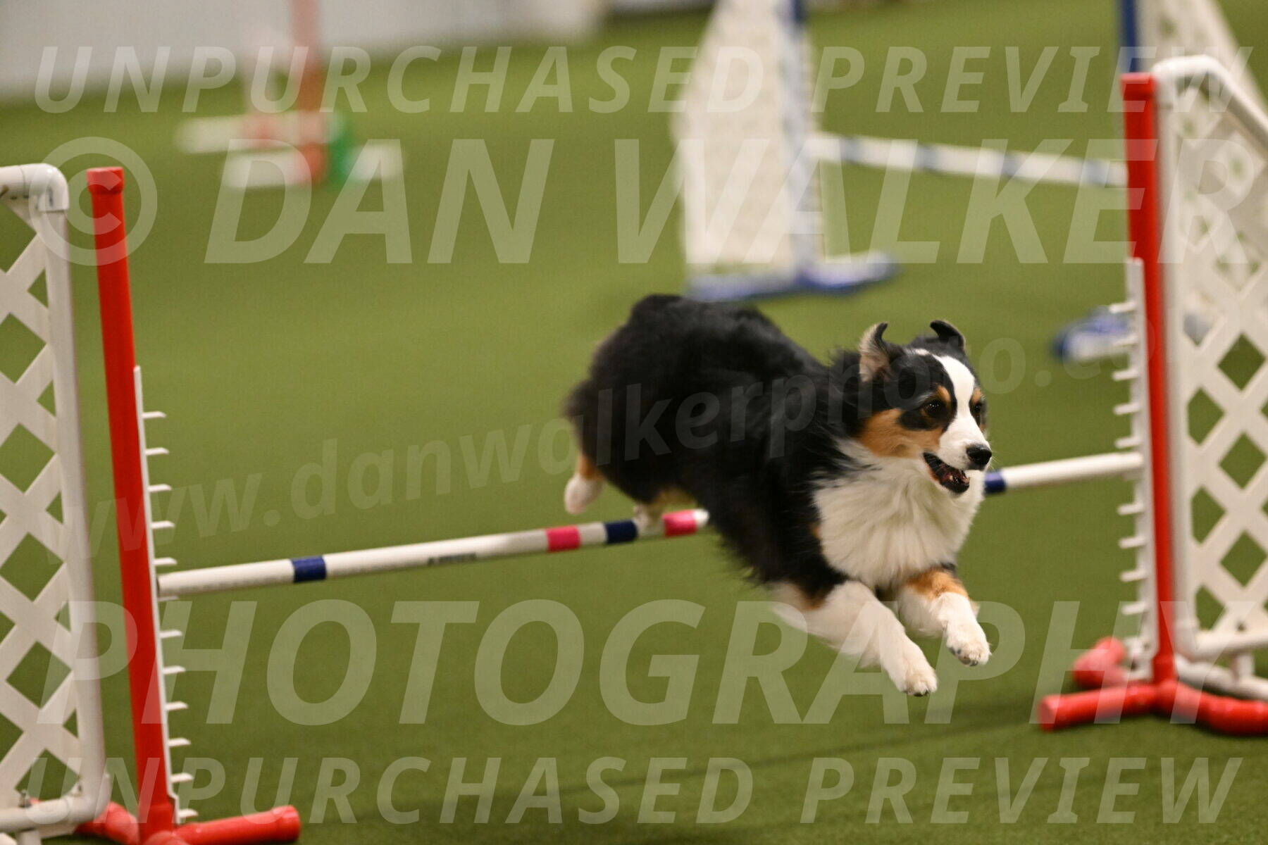 Amazing-Grace-Claudia-Brydon-01803