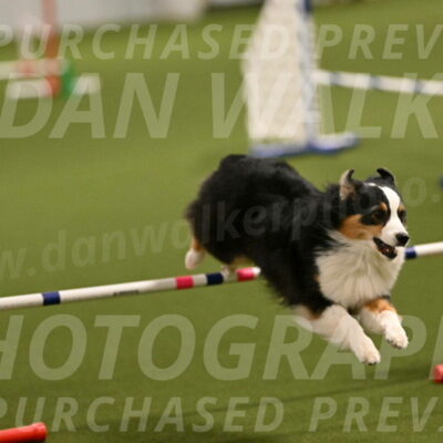 Amazing-Grace-Claudia-Brydon-01803