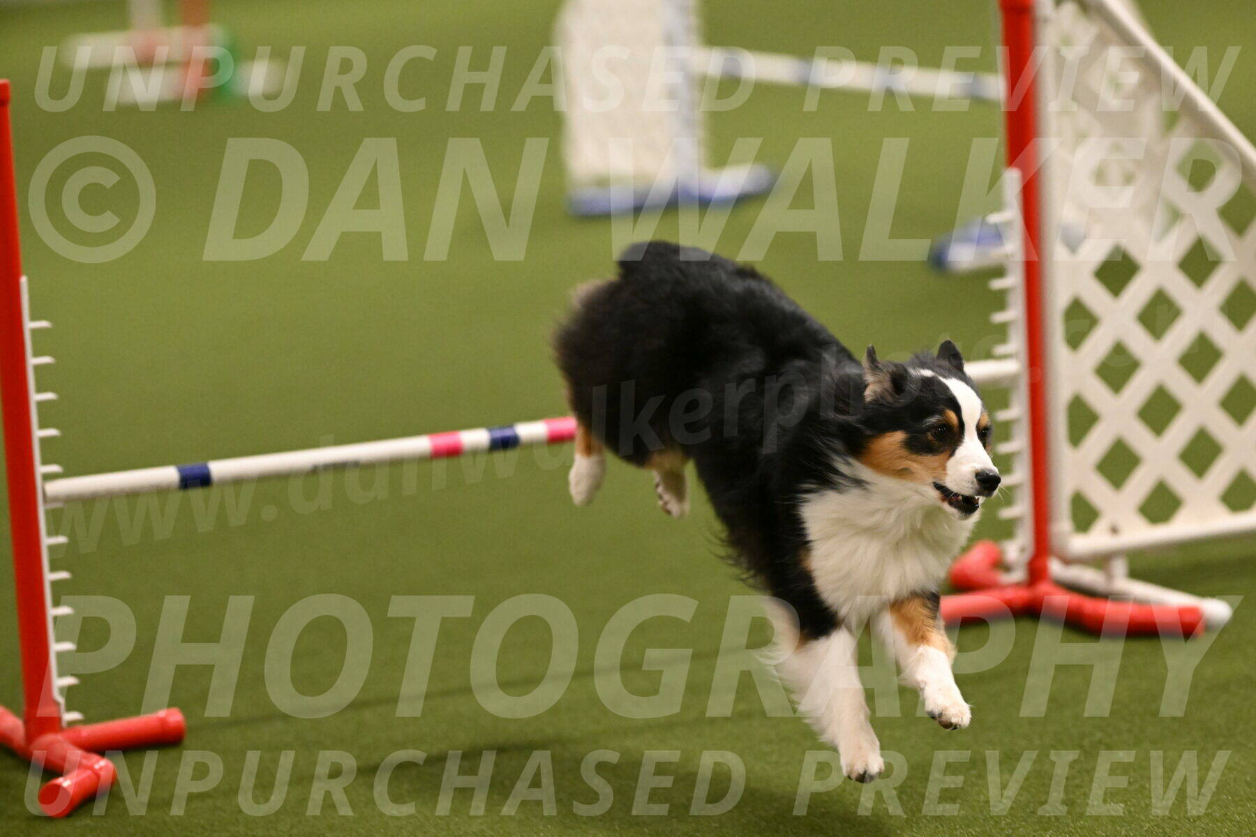 Amazing-Grace-Claudia-Brydon-01804