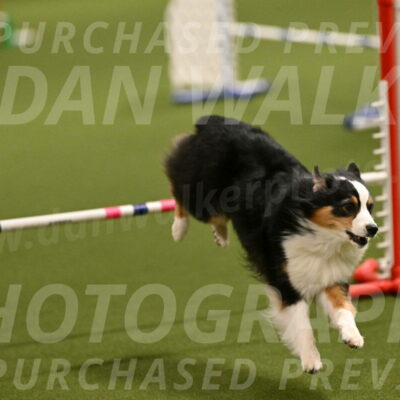 Amazing-Grace-Claudia-Brydon-01804