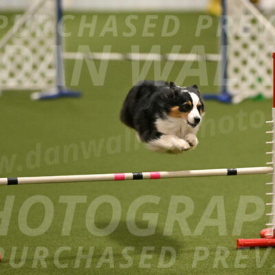 Amazing-Grace-Claudia-Brydon-01805