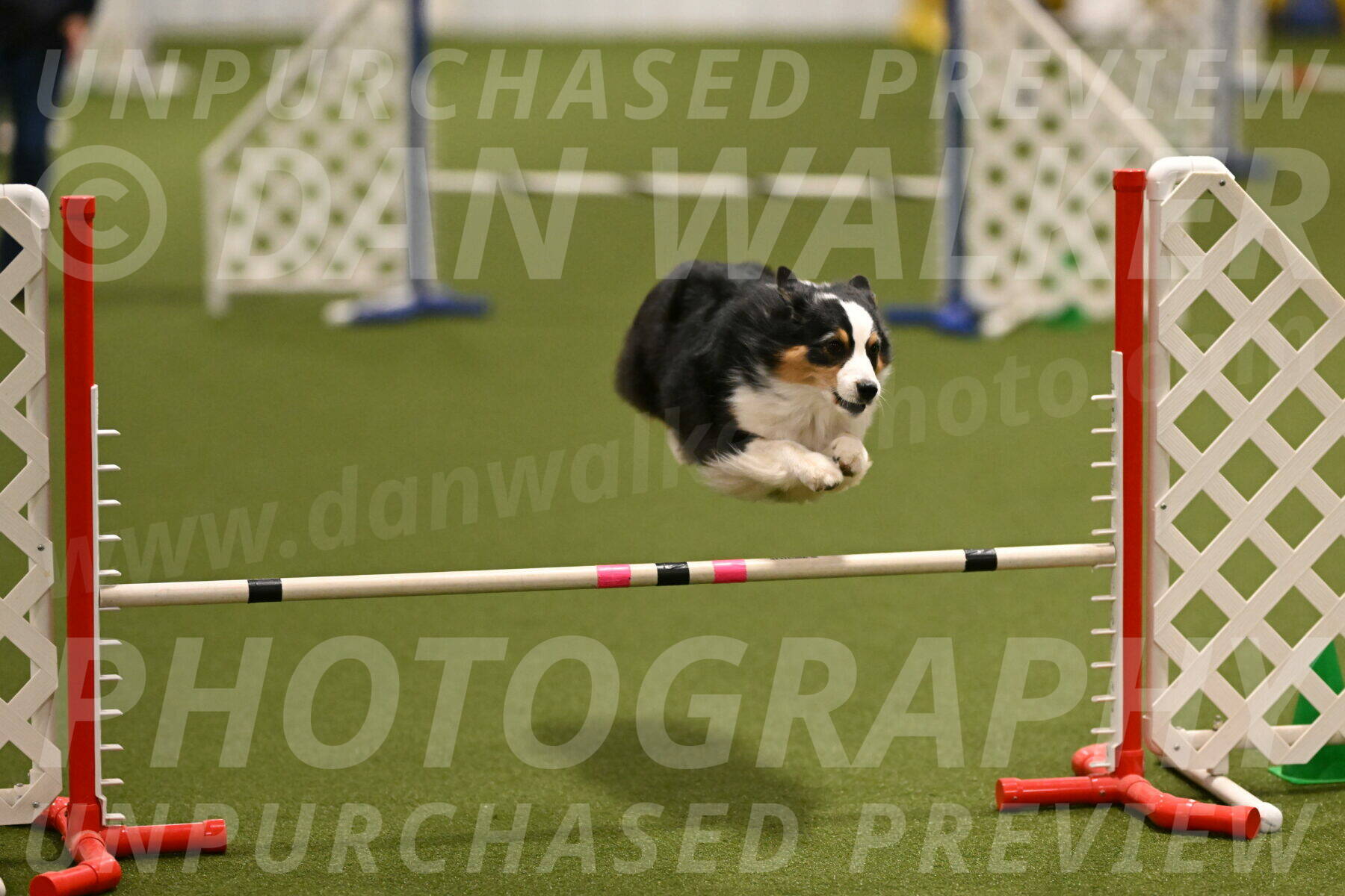 Amazing-Grace-Claudia-Brydon-01805