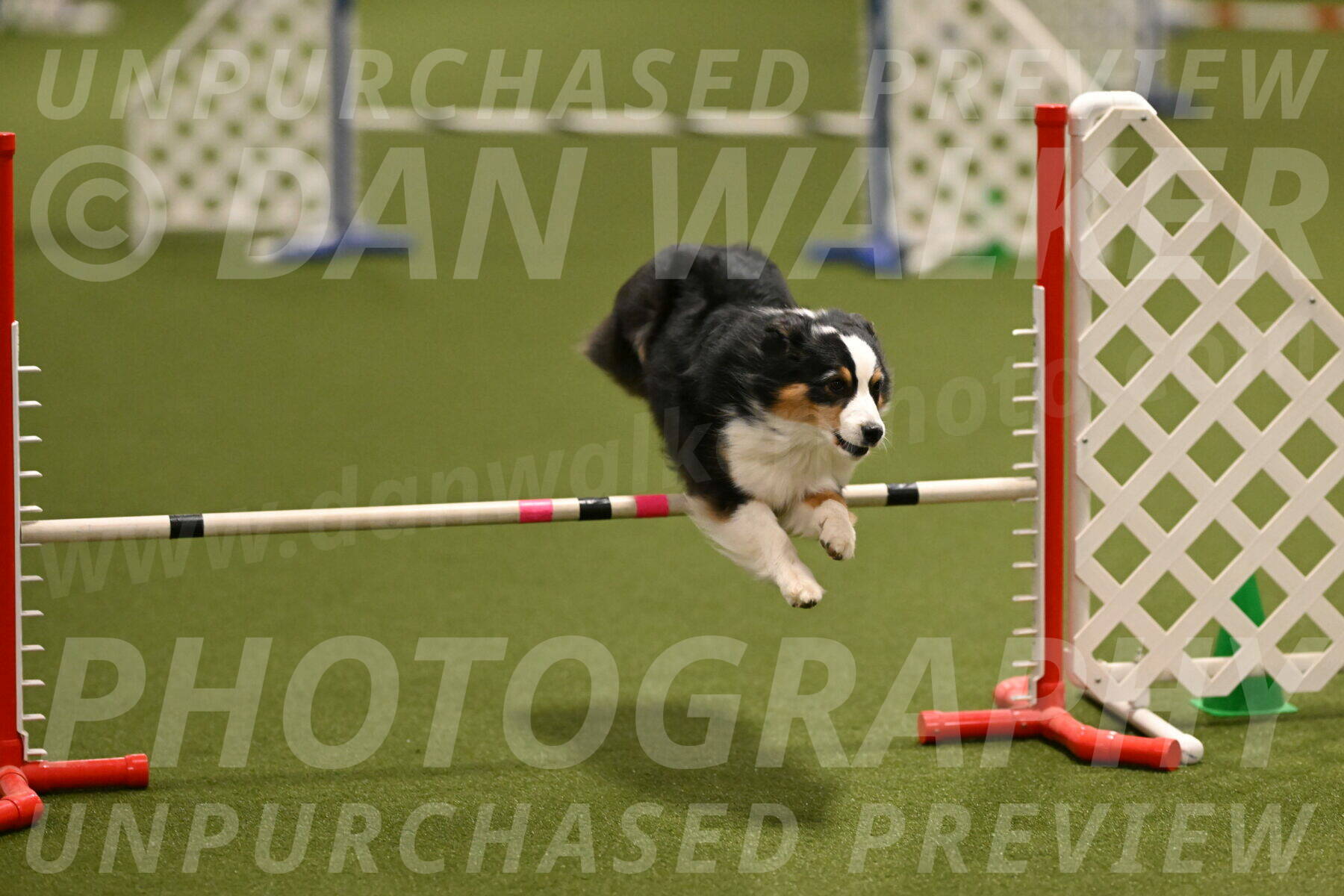 Amazing-Grace-Claudia-Brydon-01806