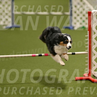 Amazing-Grace-Claudia-Brydon-01806