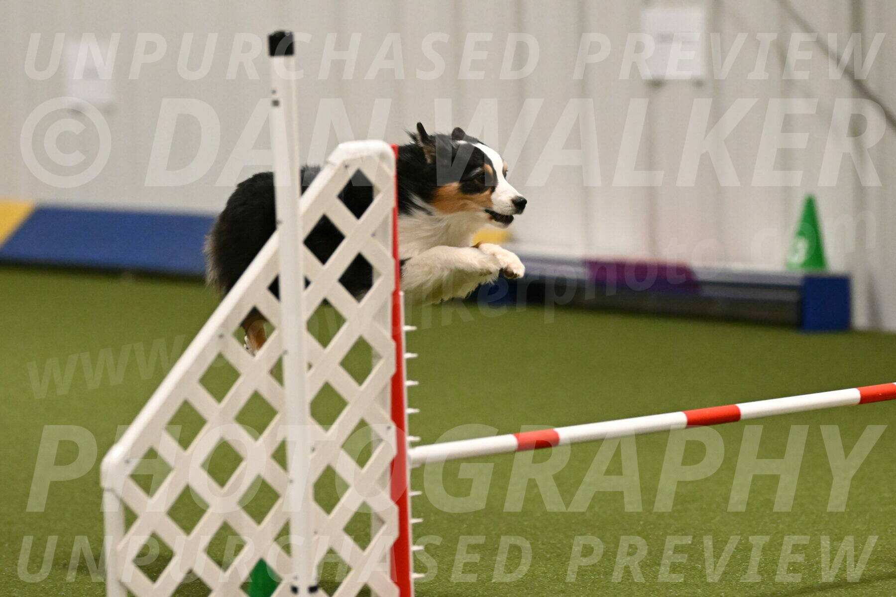 Amazing-Grace-Claudia-Brydon-01807