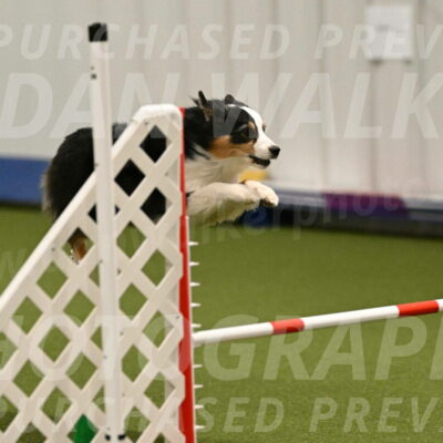 Amazing-Grace-Claudia-Brydon-01807