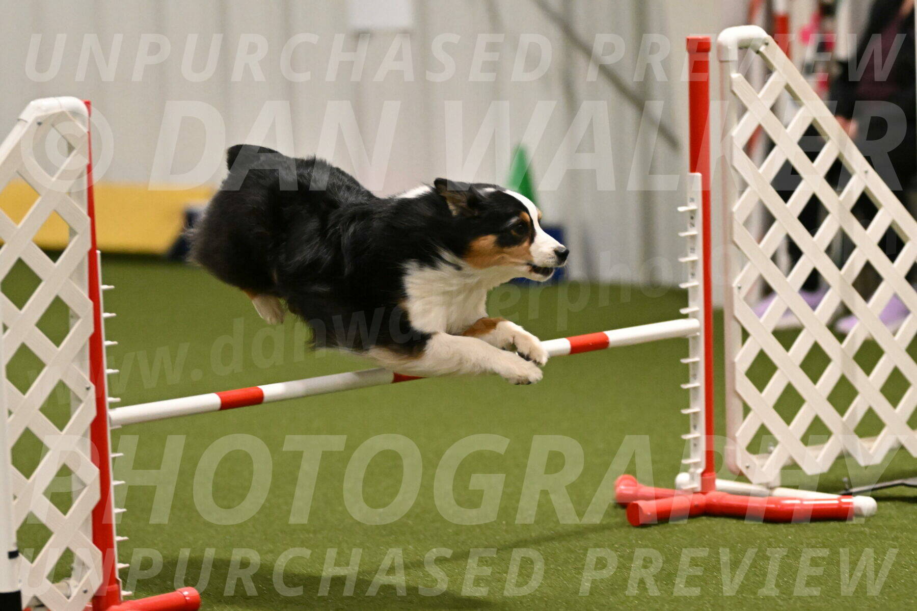 Amazing-Grace-Claudia-Brydon-01808