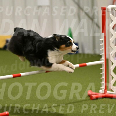 Amazing-Grace-Claudia-Brydon-01808