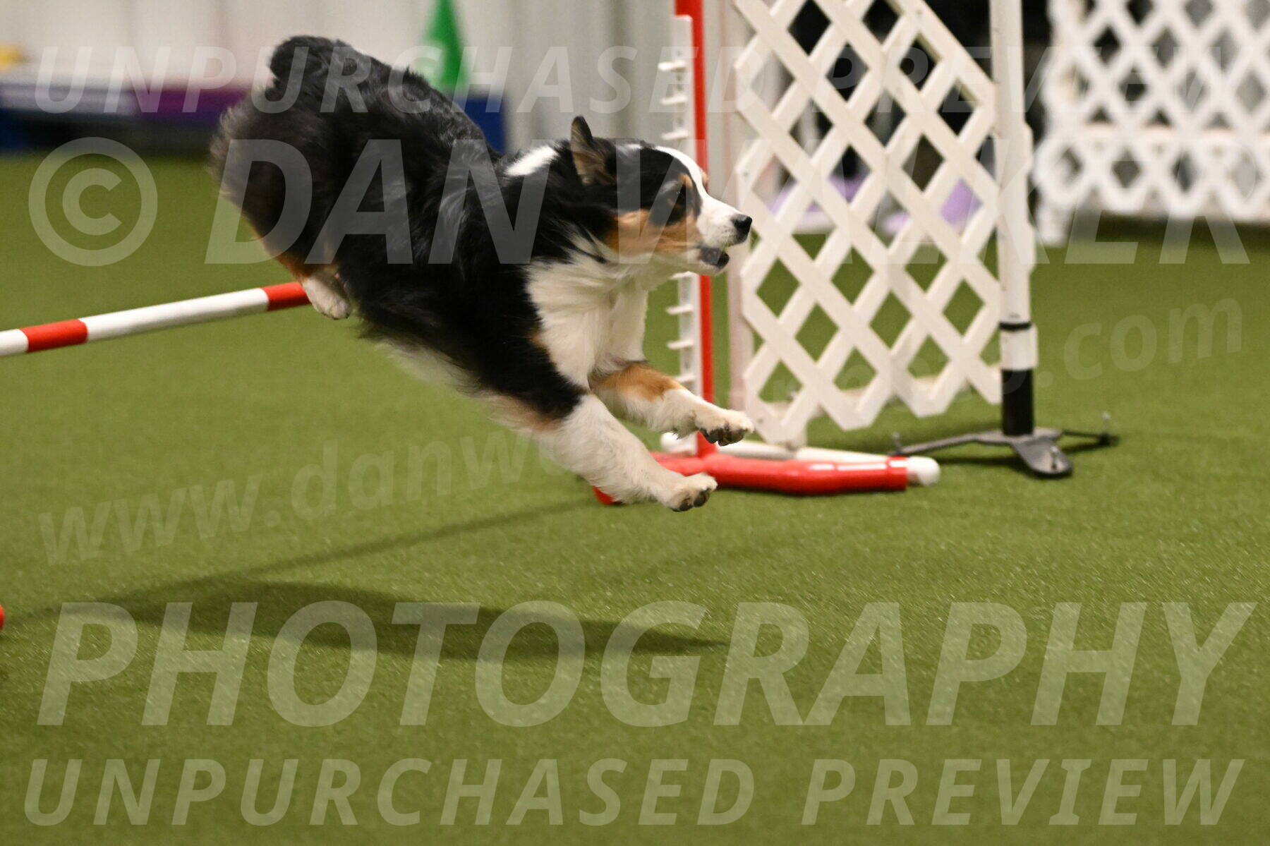 Amazing-Grace-Claudia-Brydon-01809