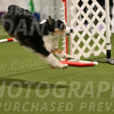 Amazing-Grace-Claudia-Brydon-01809