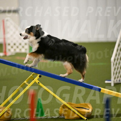 Amazing-Grace-Claudia-Brydon-01810