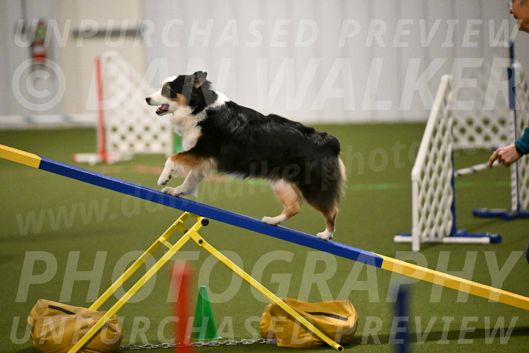 Amazing-Grace-Claudia-Brydon-01810