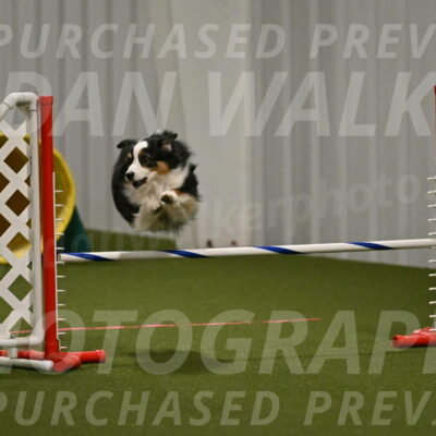 Amazing-Grace-Claudia-Brydon-01811