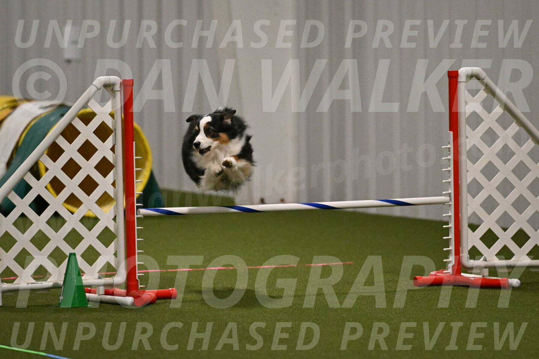 Amazing-Grace-Claudia-Brydon-01811