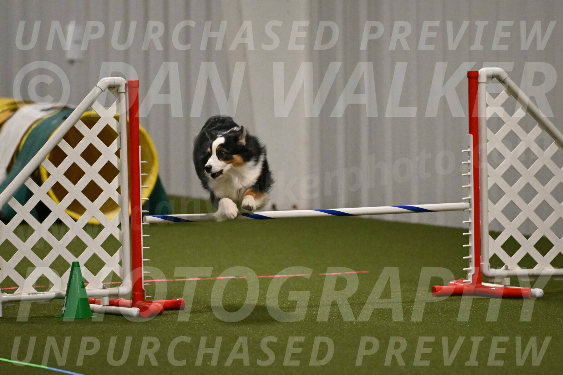 Amazing-Grace-Claudia-Brydon-01812