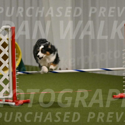 Amazing-Grace-Claudia-Brydon-01812