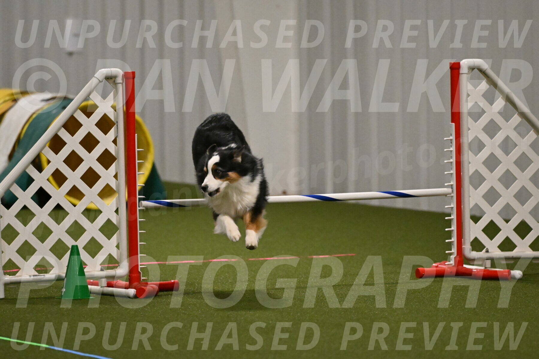 Amazing-Grace-Claudia-Brydon-01813