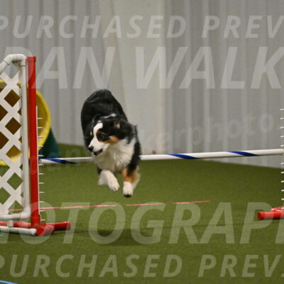 Amazing-Grace-Claudia-Brydon-01813