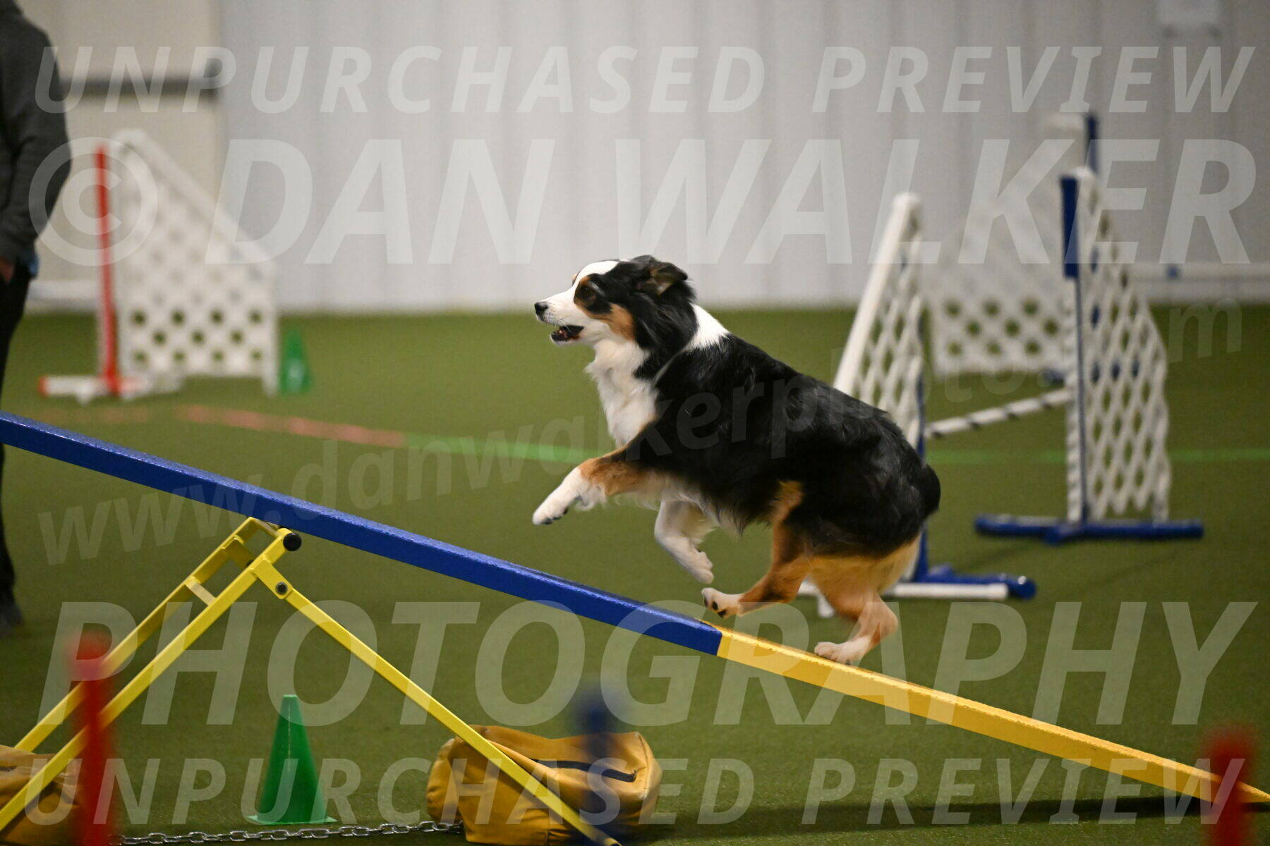 Amazing-Grace-Claudia-Brydon-01814