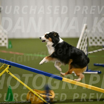 Amazing-Grace-Claudia-Brydon-01814