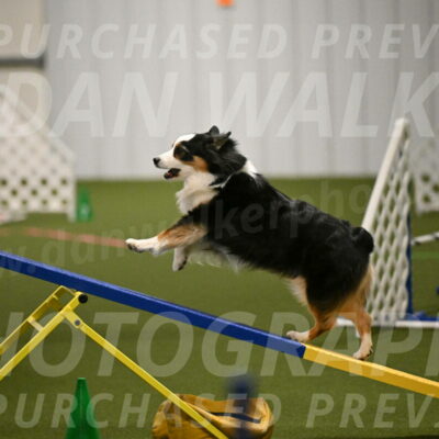 Amazing-Grace-Claudia-Brydon-01815