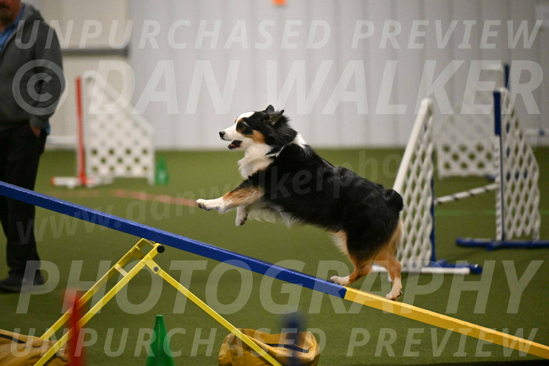 Amazing-Grace-Claudia-Brydon-01815