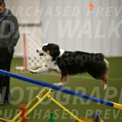 Amazing-Grace-Claudia-Brydon-01816