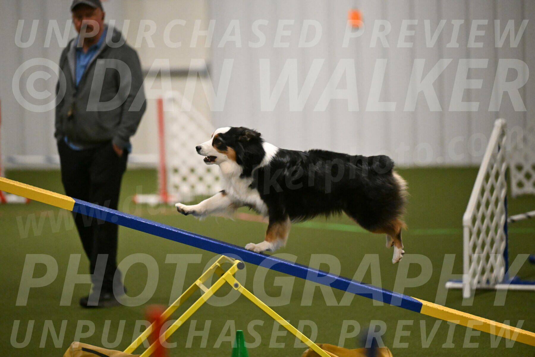 Amazing-Grace-Claudia-Brydon-01816