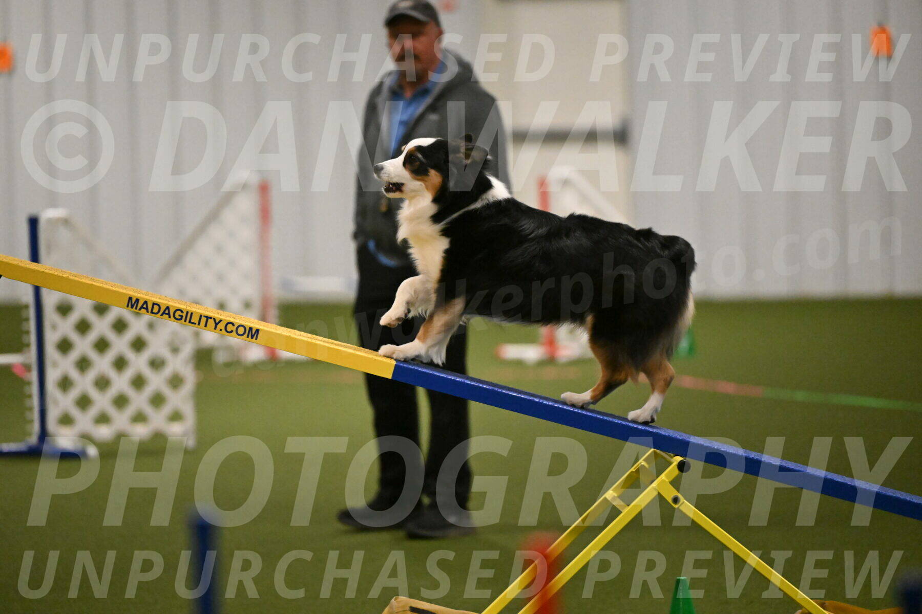 Amazing-Grace-Claudia-Brydon-01817