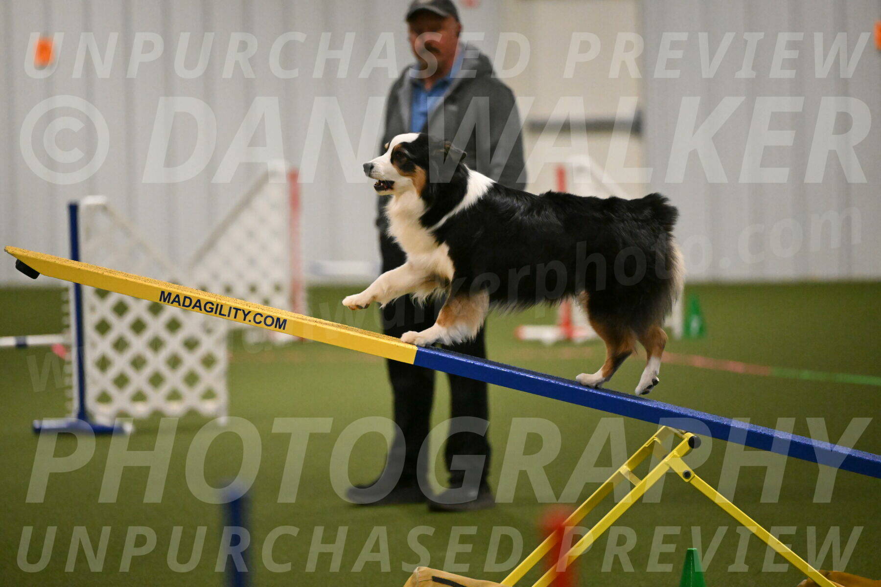 Amazing-Grace-Claudia-Brydon-01818